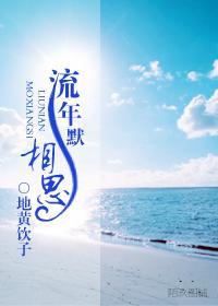 流年默相思封面