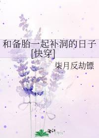 重生1997当富翁封面