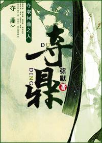 夺鼎封面