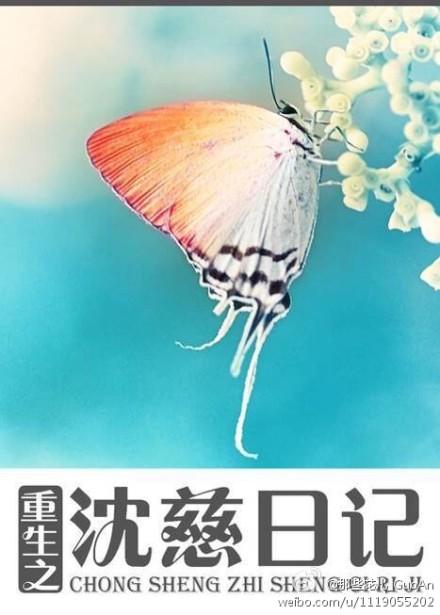 重生之沈慈日记封面