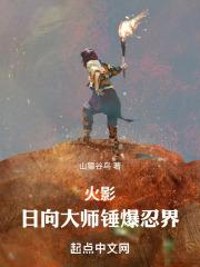 火影：日向大师锤爆忍界封面