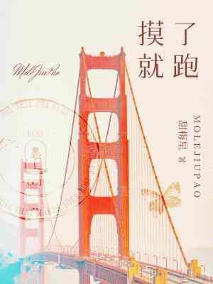 摸了就跑封面