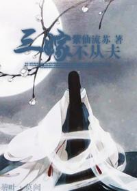 三嫁不从夫封面