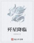 歼星降临封面