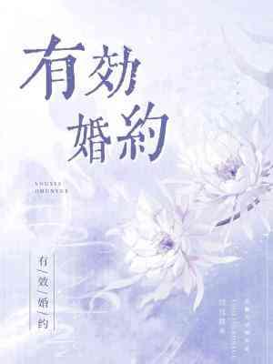 有效婚约封面