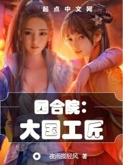 四合院：大国工匠封面