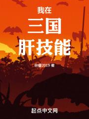 我在三国肝技能封面