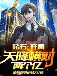 叶青柳月封面