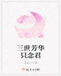 三世芳华只念君封面