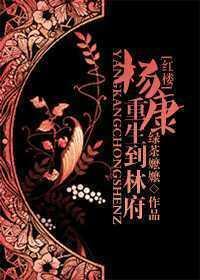 杨康重生到林府封面