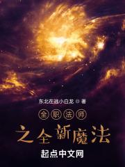全职法师之全新魔法封面