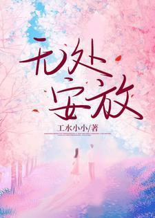 无处安放封面