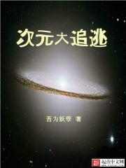 次元大追逃封面