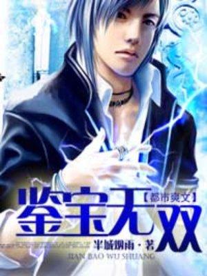 鉴宝无双封面