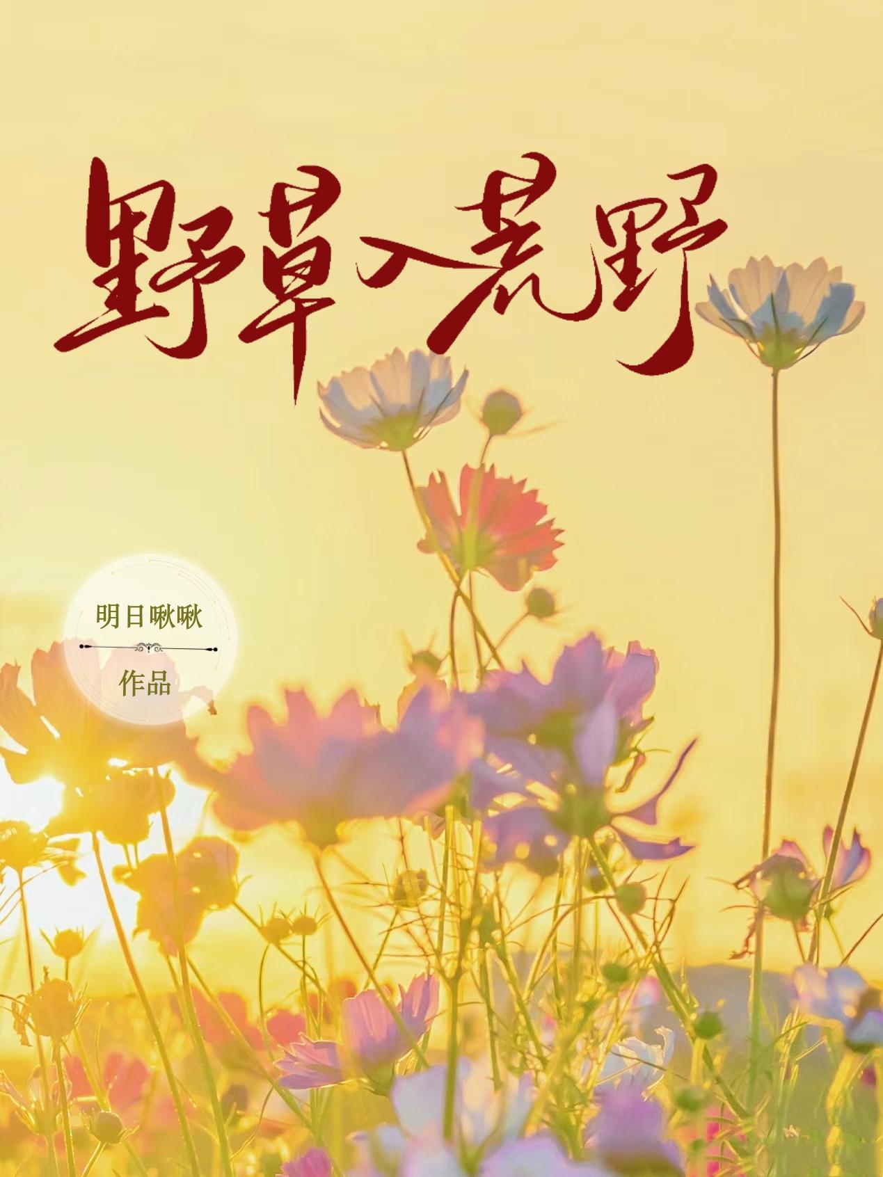 野草入荒野封面