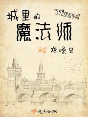 城里的魔法师封面