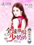 璀璨星途：全球通缉少奶奶封面