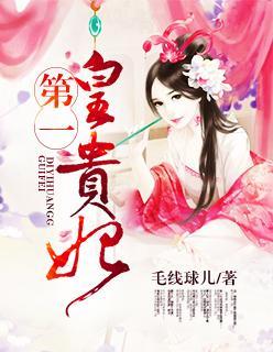 第一皇贵妃封面