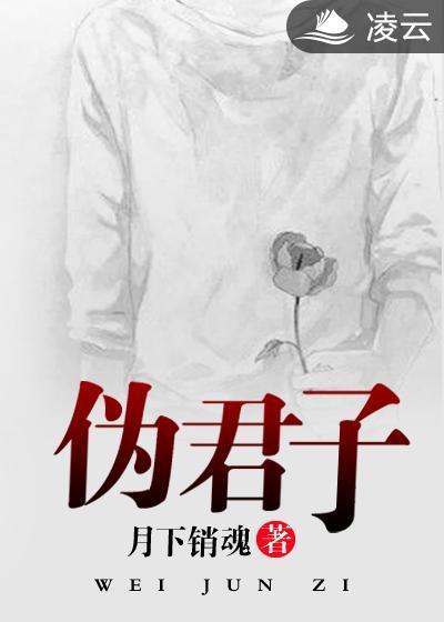 伪君子封面