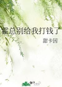 霍总别给我打钱了封面