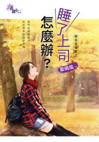 睡了上司怎么办？封面