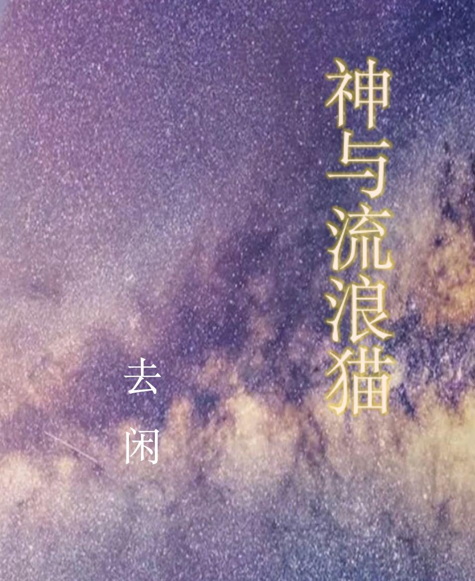 神与流浪猫封面