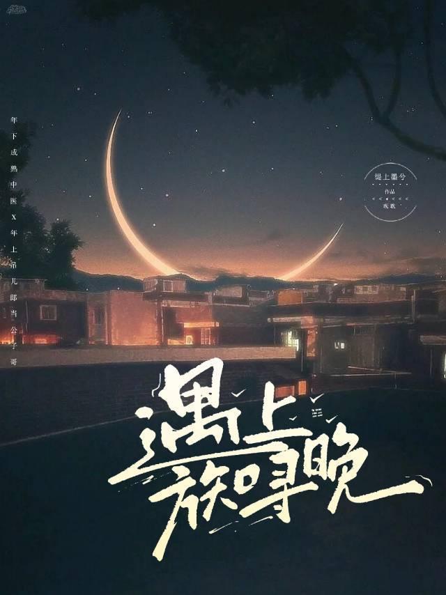 遇上方知寻晚封面
