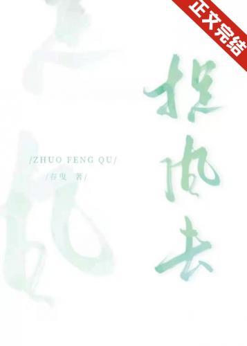 捉风去封面