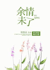 余情未了封面