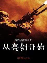 从亮剑开始崛起封面