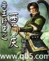 帝王野史封面