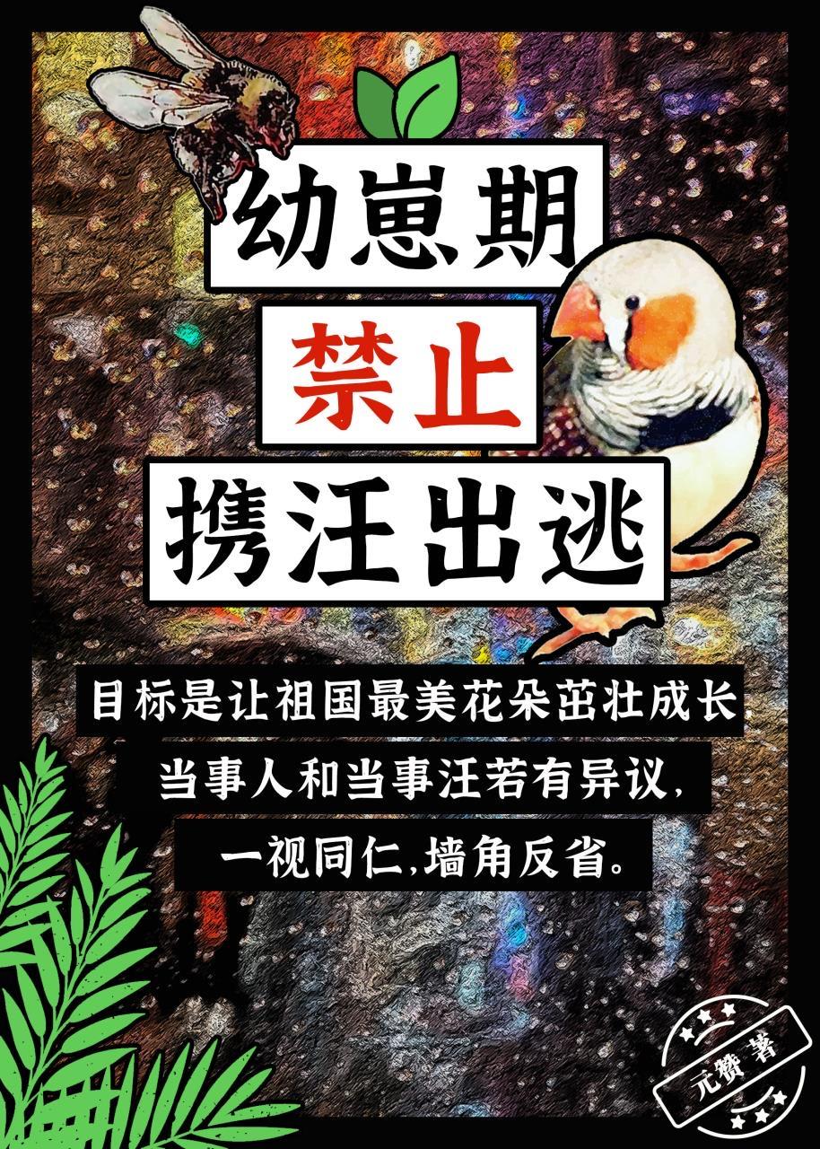 幼崽期禁止携汪出逃封面