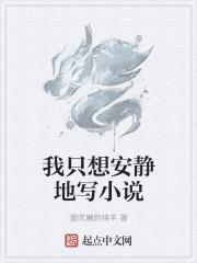 我只想安静的走剧情封面