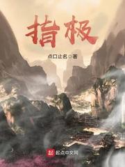指极封面