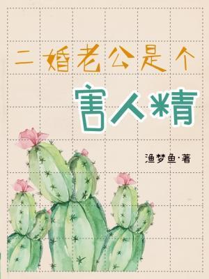 二婚老公是个害人精封面