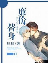 廉价替身封面