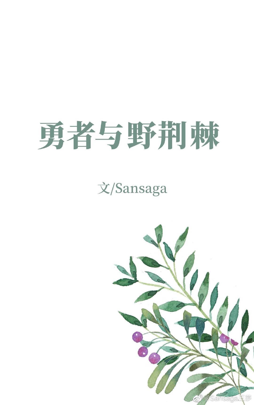 勇者与野荆棘封面