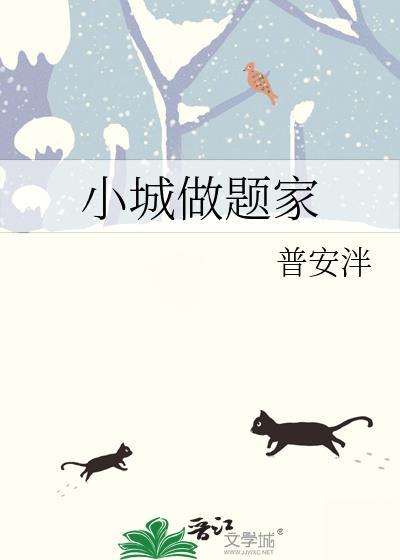 小城做题家封面