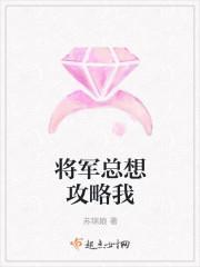 林风沈萌萌封面