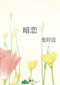 暗恋封面