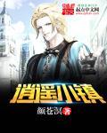 逍遥小镇封面