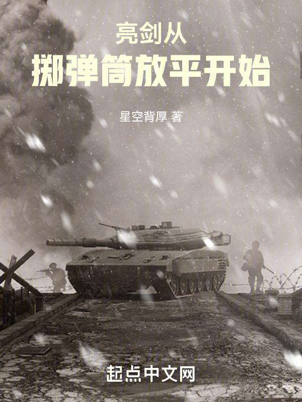 亮剑从掷弹筒放平开始封面
