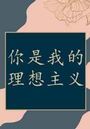 你是我的理想主义封面