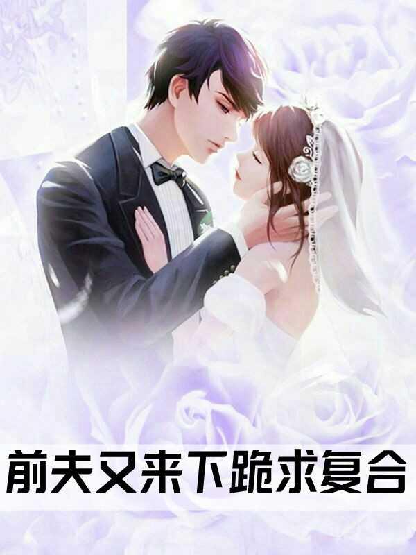 明末：我劝家父做曹操封面