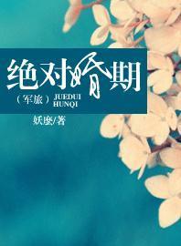 绝对婚期（军旅）封面
