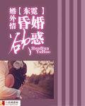 婚外情：婚昏欲惑封面