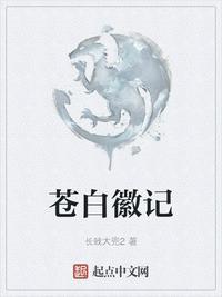 苍白徽记封面