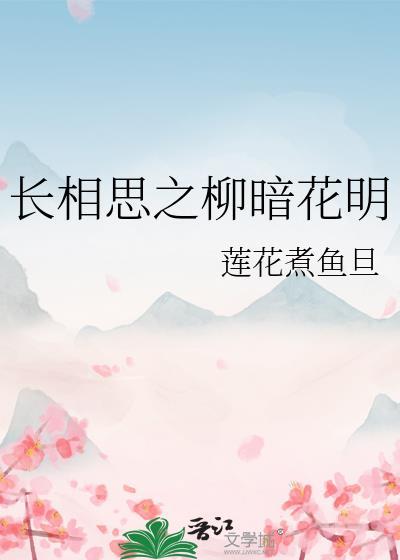 长相思之柳暗花明封面