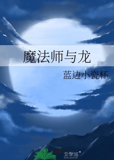 魔法师与龙封面