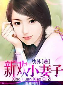 新欢小妻子封面